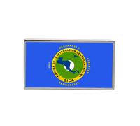 Sica Sistema De la Integración Centroamericana Distintivo di Bandiera Lapel Pin
