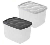 Sicignano | Contenitore Organizer Storage Box Scatola Multiuso con Coperchio Colori Assortiti, Plastica Trasparente, Impilabile, Rettangolare - Soggiorno Camera da Letto Vestiti (18 lt, 2)