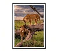 Sicignano | Cornice Bombata Moderna 35x50 cm in Legno Nero con Pannello MDF Robusto Vetro Crilex - Portafoto da Parete Orizzontale Verticale, per Foto Quadri Poster Documenti Diploma Laurea