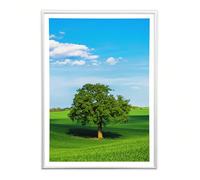 Sicignano | Cornice Bombata Moderna 40x50 cm in Legno Bianco con Pannello MDF Robusto Vetro Crilex - Portafoto da Parete Orizzontale Verticale, per Foto Quadri Poster Documenti Diploma Laurea