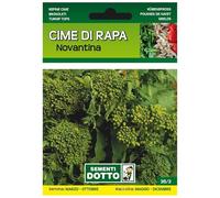 Sicignano | Semi Cime di Rapa Novantina - Pianta Ciclo Medio-Tardivo, Infiorescenze Grosse, Busta Extra - 1 Confezione da 20g, Raccolta Estiva-Autunnale