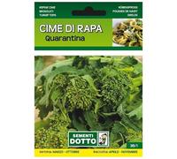 Sicignano | Semi Cime di Rapa Quarantina - Pianta Precoce, Infiorescenze Serrate, Busta Extra - 1 Confezione da 20g, Raccolta Primaverile-Estiva
