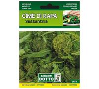 Sicignano | Semi Cime di Rapa Sessantina - Pianta Ciclo Medio-Precoce, Infiorescenze Grosse, Busta Extra - 2 Confezioni da 20g, Raccolta Estiva-Autunnale