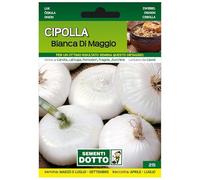 Sicignano | Semi Cipolla Bianca di Maggio, Medio Grossa, Bulbo Bianco, Buccia Sottile, Busta Extra - 1 Confezione da 2.1g, Pianta a Ciclo Medio-Precoce