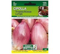 Sicignano | Semi Cipolla di Tropea Rossa Lunga, Bulbo Rosso, Forma Allungata, Sapore Dolce, Busta Extra - 1 Confezione da 1.7g, Pianta a Ciclo Precoce