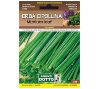 Sicignano | Semi Erba Cipollina Medium Leaf, Pianta Aromatica Perenne, Busta Extra - 2 Confezioni da 0.6g, Ideale per Ricette Fresche, Aromatizzare Insalata Salsa Vivande, Pianta da Vaso