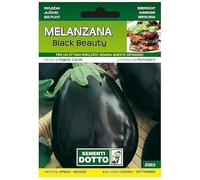 Sicignano | Semi Melanzana Black Beauty - Pianta con Frutti Grandi e Lucidi, Busta Extra - 1 Confezione da 1.9g, Raccolta Estate
