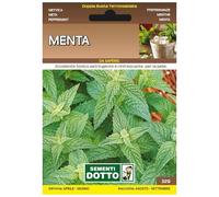 Sicignano | Semi Menta, Pianta Aromatica Perenne, Busta Extra - 6 Confezioni da 0.26g, Ideale per Piatti e Bevande Fresche, Utile come Aromatizzante, Pianta da Vaso