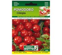 Sicignano | Semi Pomodoro Ciliegia, Frutti Sferici a Grappolo, Pianta Annuale Indeterminata Ciclo Vegetativo, Busta Extra - 1 Confezione da 0.4g, Necessita di Sostegno, Ciclo Medio-Precoce