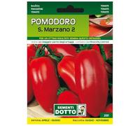 Sicignano | Semi Pomodoro San Marzano, Pianta Indeterminata con Frutti Allungati, Frutto Piccolo Adatto a Conservazione, Busta Extra - 4 Confezioni da 0.6g, Raccolto da Giugno a Novembre