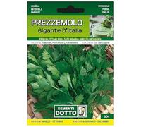 Sicignano | Semi Prezzemolo Gigante d’Italia - Pianta Aromatica con Foglie Ampie, Busta Extra - 4 Confezioni da 13g, Raccolta Annuo