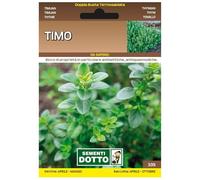 Sicignano | Semi Timo Comune, Erba Aromatica Biennale-Perenne, Busta Extra - 1 Confezione da 0.6g, per Giardino Cucina Infusi Medicinali, Pianta da Vaso, Adatta a Pieno Sole