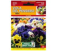 Sicignano | Semi Viola del Pensiero in Miscuglio Mix, Fiori Colorati Compatti, Pianta Annuale-Biennale, Busta Extra - 1 Confezione da 0.23g, Adatta a Pieno Sole