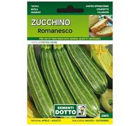 Sicignano | Semi Zucchino Romanesco - Pianta a Cespo Ramificato, Frutti Lunghi e Costati, Busta Extra - 2 Confezioni da 4.2g, Raccolta Estate-Autunno