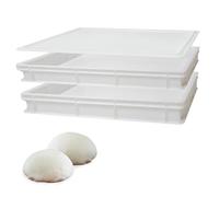 Sicignano | Set 2 Vaschetta Cassetta Service per Impasti 60x40x10h cm con Coperchio con Fondo e Pareti Chiuse Capacità 19 litri Impilabile Bianco Polietilene Alimentare Lavabile in Lavastoviglie