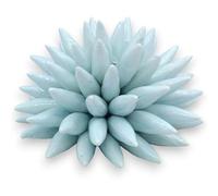 SICILIA BEDDA CAPACI Riccio di Mare in Pregiata Ceramica, da appoggio o da Appendere, con Vari Colori e Due Misure (1Unità) - Turchese, Diametro 13 cm