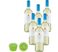 Sicilia Bedda - VINO SICILIANO - 6 Bottiglie da 75 CL - CANTINA SETTESOLI - in Omaggio Tappo in Silicone Sicilia Bedda (Settesoli Bianco Terre Siciliane IGT)