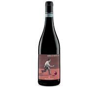Sicilia Rosso DOC Nero D'Avola 2021 Bio Baglio di Pianetto