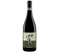 Sicilia Rosso DOC Syrah 2021 Bio Baglio di Pianetto