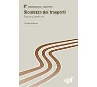 Sicurezza dei trasporti