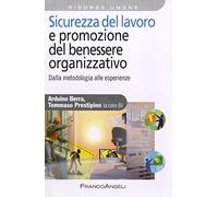 Sicurezza del lavoro e promozione del benessere organizzativo. Dalla metodologia alle esperienze