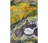 Sidecar. In viaggio con Pessoa, l'ultimo eteronimo