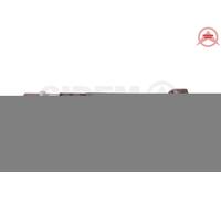 SIDEM Snodo assiale per RENAULT Clio III Schrägheck (BR0/1, CR0/1) Anteriore