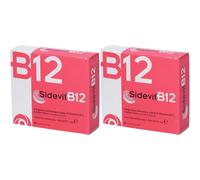 Sidevit B12 20 Stick 2x30 g Polvere per soluzione orale
