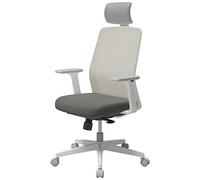 SIDIZ Sedia ergonomica da ufficio T40 SE: comoda sedia da ufficio per casa e ufficio per utenti leggeri con blocco reclinabile inclinabile, poggiatesta, braccioli 3D, sedia da scrivania per computer