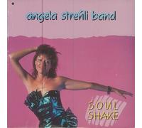 SIEGEL-SCHWALL BAND - shake! LP