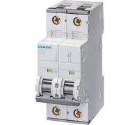 Siemens 5SY42067 Supplementary Protector, UL 1077 Rated, 2 Pole breaker, 6 ampere MAXIMUM, Tripping Characteristic C, DIN rail mounted