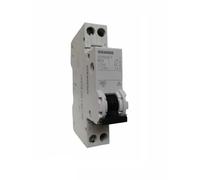 Interruttore automatico 230 V 6 KA 1P + N 1UM, C, 25 A