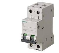 Interruttore magnetotermico Siemens 2P 40A 6kA tipo C 2 moduli 5SL62407BB