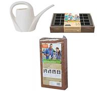 Siena Garden Cassetta in legno massiccio, 24 pezzi, terra, brocca