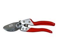 Siena Garden Cesoie da Giardino di Alta qualità, Argento/Rosso