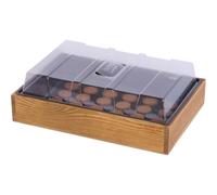 Siena Garden Scatola in Legno Massiccio con 24 pastiglie