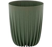 Siena Garden Vaso Di Piante Fioriera PALMA Verde 30 Cm