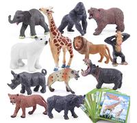 SIENON 12 pezzi Safari Animali Figura Giocattoli con schede flash, realistici animali selvatici zoo in plastica giungla leone giraffa orso gorilla apprendimento educativo set da gioco per bambini