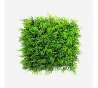 Siepe Artificiale 50x50cm pianta Felce Finta 3D Giardino Balcone Pritus