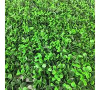 Siepe artificiale Boxus Jade Recinzione Balcone Giardino 50x100 cm EV