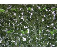 SIEPE ARTIFICIALE BRIXO EVERGREEN LAURO con supporto rigido posteriore