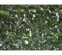 Siepe artificiale con supporto rigido posteriore Rotolo 20 mt Evergreen