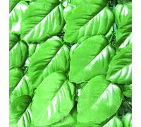 Siepe Artificiale Lauro Confine Mt. 1,5x20 In Polipropilene Verde Confine Siepi