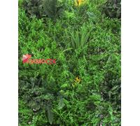 SIEPE Artificiale pvc 1x1 sempreverde decorazione parete orizzontale verticale