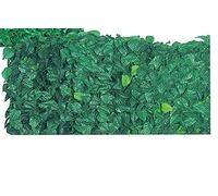 Arella sempreverde lauro 1,50x 20 m