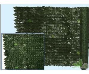 SIEPE EVERGREEN EDERA ARELLA FOGLIE VERDE PRIVACY FRANGIVISTA 100X300 CM 1X3 MT