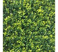 Siepe finta artificiale per Giardino Balcone Recinzione 50x100 cm Decorativa