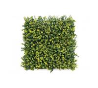 Siepe finta da Parete 50x50 Bosso decorazione