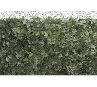 Siepe Finta Sintetica Edera Artificiale 1X3 Metri Sempreverde - Biacchi Ettore