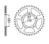 Sifam Pignone Posteriore 20464cz49